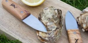 miglior guida comparativa all'acquisto di coltelli per ostriche